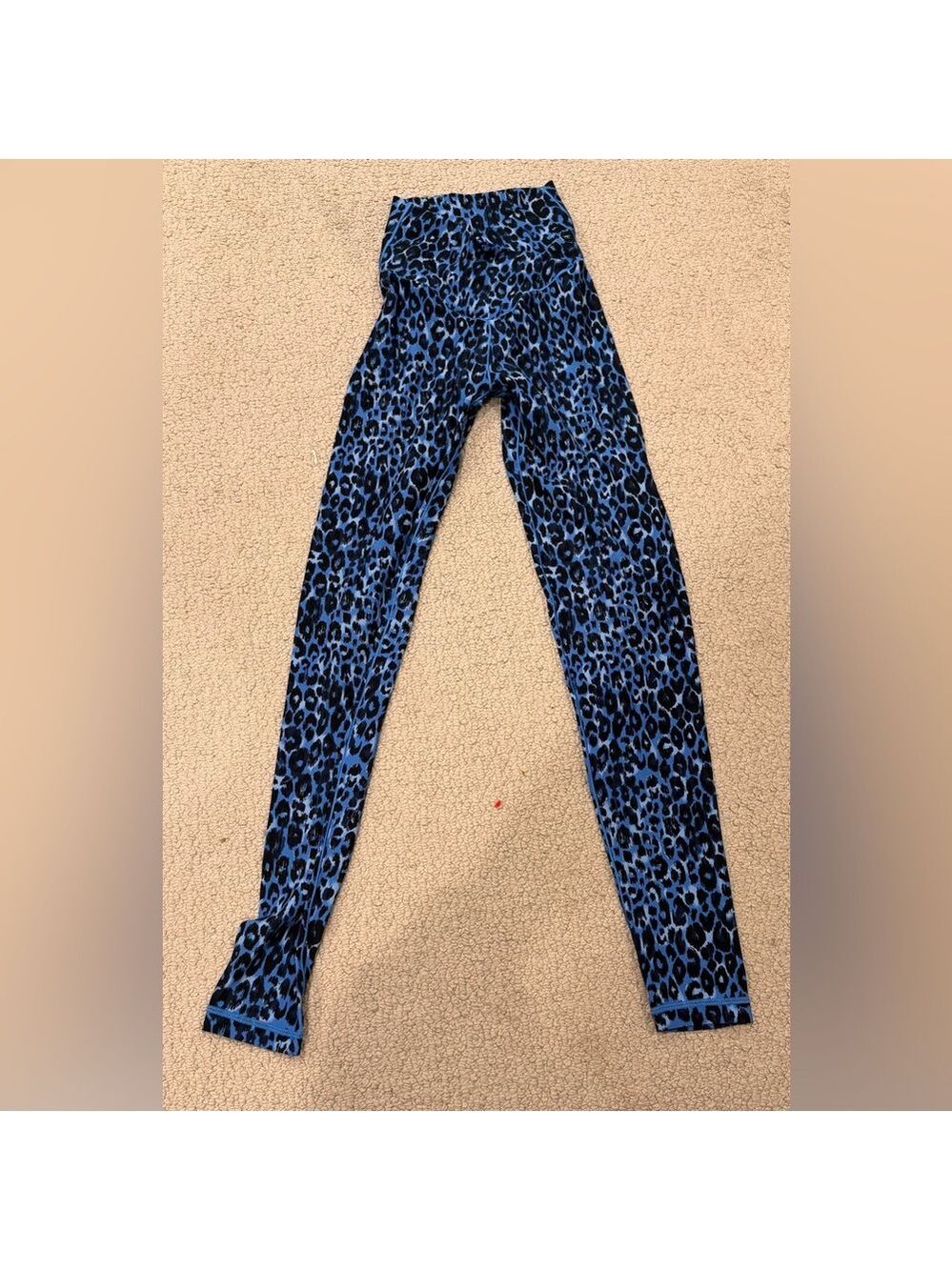Aerie Blue Leopard Print Leggings